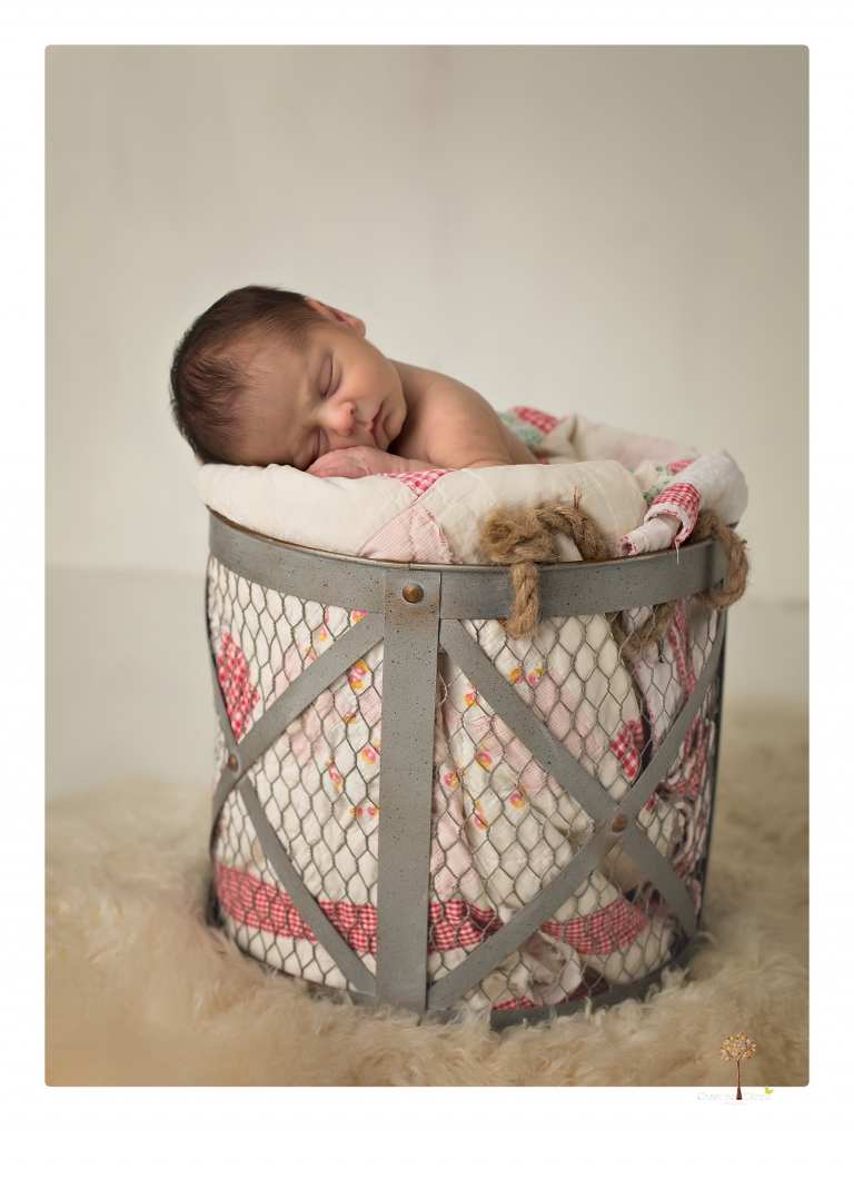 Best Sonora Newborn Photographer Christine Dibble Photography takes newborn portraits during a session in her studio using blankets, wraps, flokatis and props in browns and neutrals.