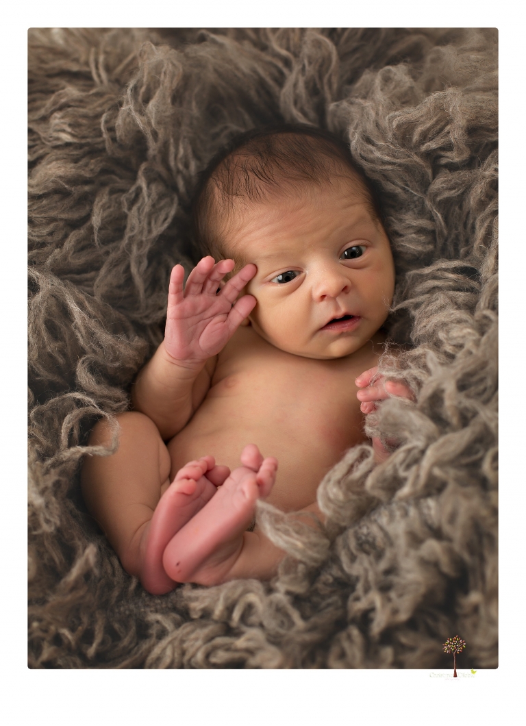 Best Sonora Newborn Photographer Christine Dibble Photography takes newborn portraits during a session in her studio using blankets, wraps, flokatis and props in browns and neutrals.