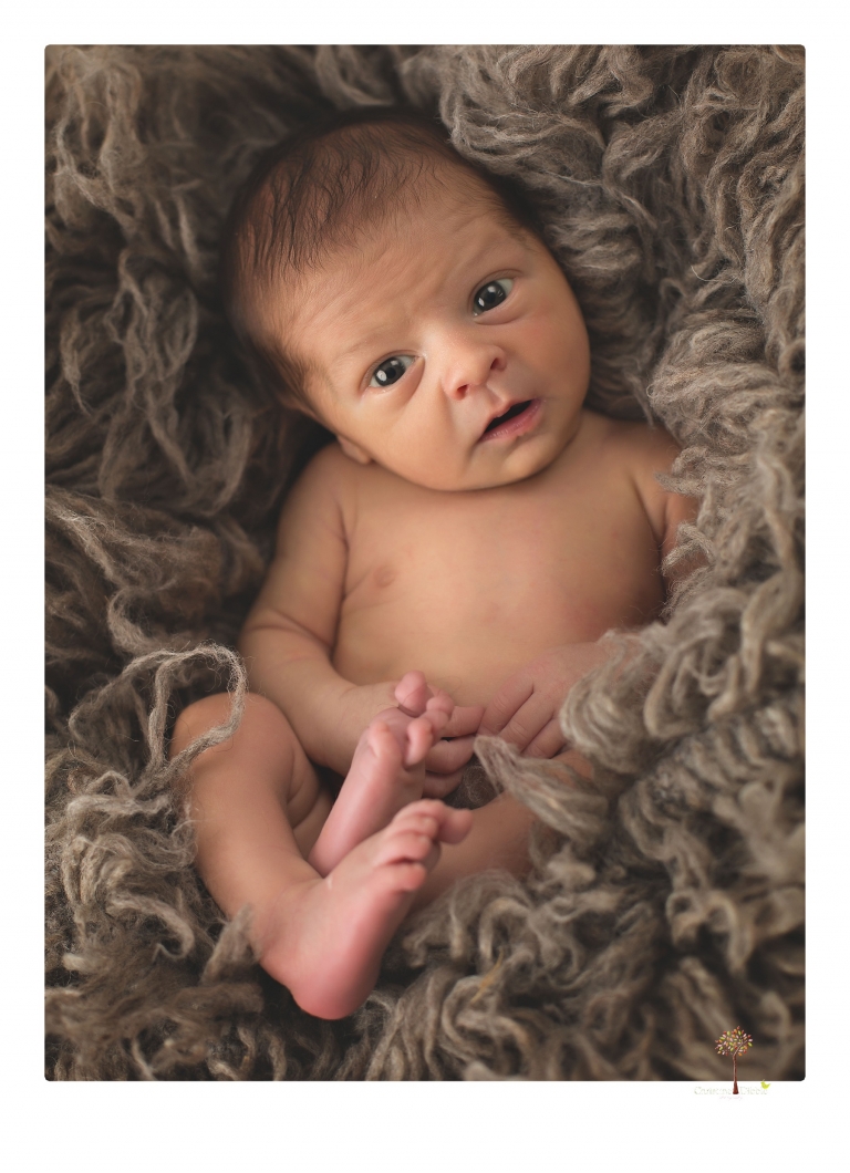 Best Sonora Newborn Photographer Christine Dibble Photography takes newborn portraits during a session in her studio using blankets, wraps, flokatis and props in browns and neutrals.