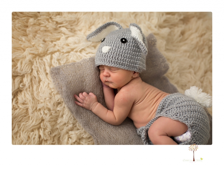 Best Sonora Newborn Photographer Christine Dibble Photography takes newborn portraits during a session in her studio using blankets, wraps, flokatis and props in browns and neutrals.
