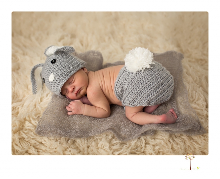 Best Sonora Newborn Photographer Christine Dibble Photography takes newborn portraits during a session in her studio using blankets, wraps, flokatis and props in browns and neutrals.