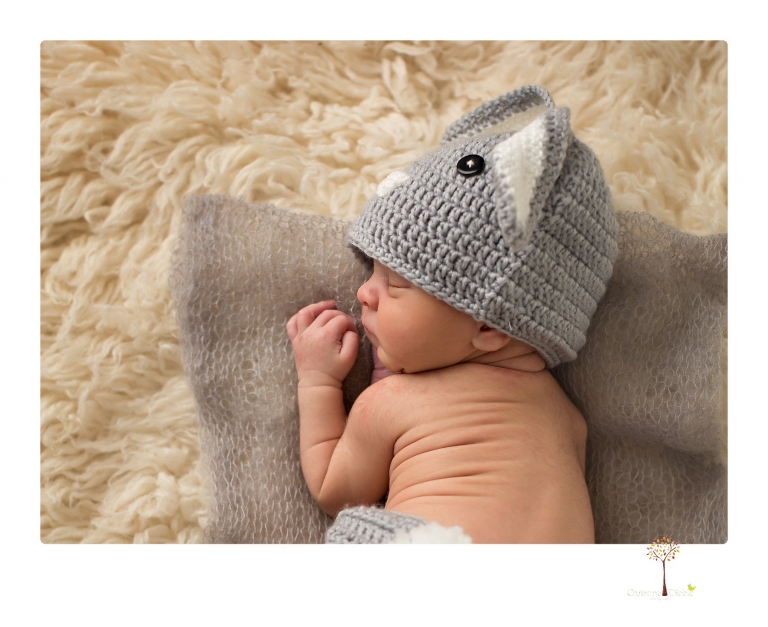 Best Sonora Newborn Photographer Christine Dibble Photography takes newborn portraits during a session in her studio using blankets, wraps, flokatis and props in browns and neutrals.