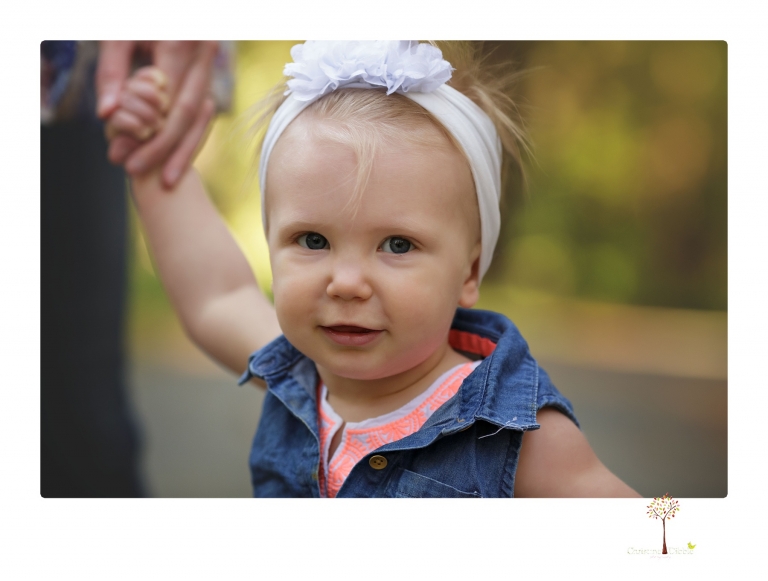 Sonora and Grass Valley family photographer Christine Dibble Photography takes first birthday cake smash photos of a baby girl and her family.  