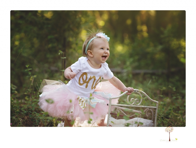 Sonora and Grass Valley family photographer Christine Dibble Photography takes first birthday cake smash photos of a baby girl and her family.  