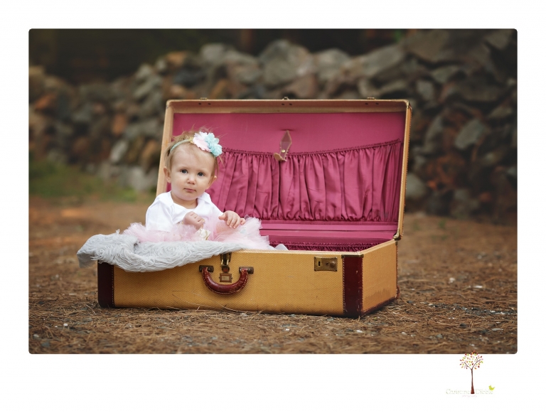 Sonora and Grass Valley family photographer Christine Dibble Photography takes first birthday cake smash photos of a baby girl and her family.  