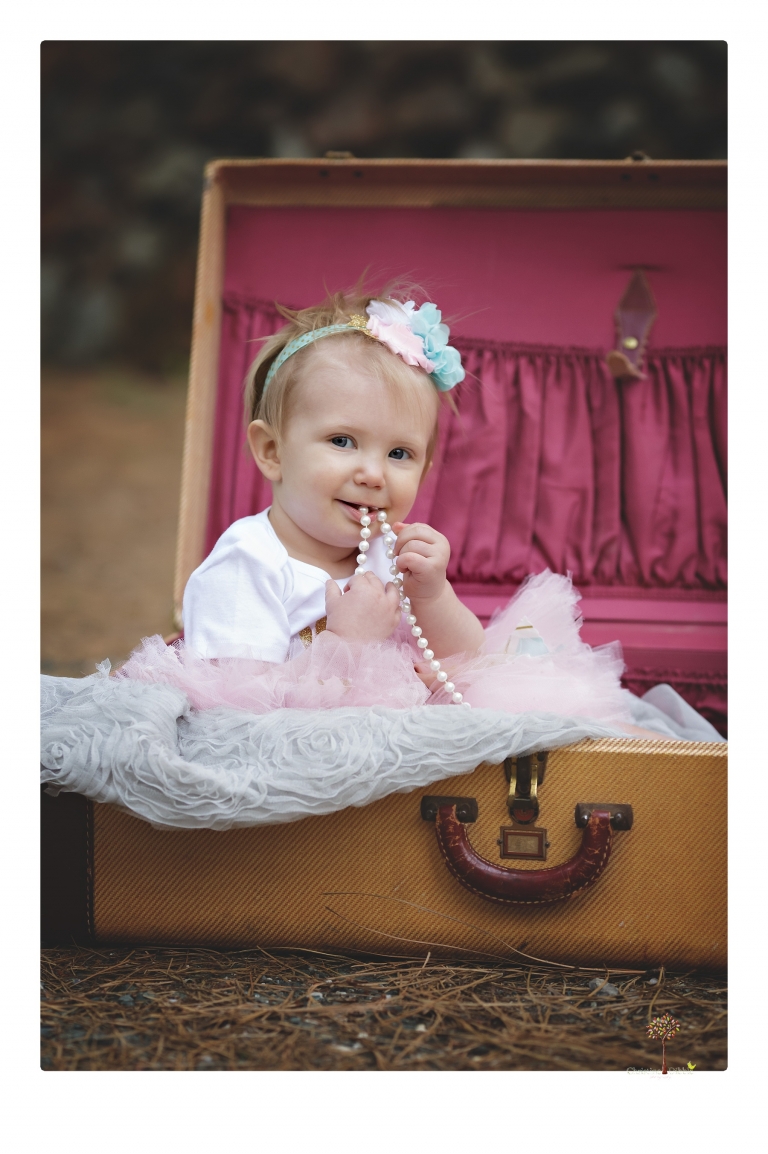 Sonora and Grass Valley family photographer Christine Dibble Photography takes first birthday cake smash photos of a baby girl and her family.  