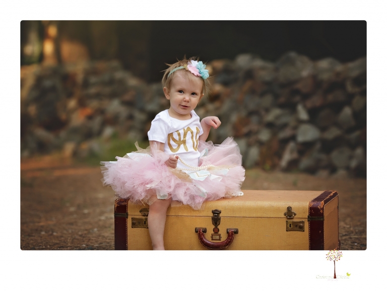 Sonora and Grass Valley family photographer Christine Dibble Photography takes first birthday cake smash photos of a baby girl and her family.  