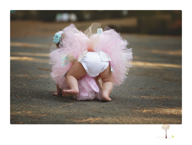 Sonora and Grass Valley family photographer Christine Dibble Photography takes first birthday cake smash photos of a baby girl and her family.  
