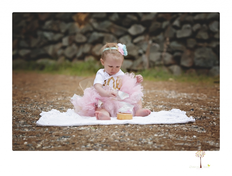 Sonora and Grass Valley family photographer Christine Dibble Photography takes first birthday cake smash photos of a baby girl and her family.  