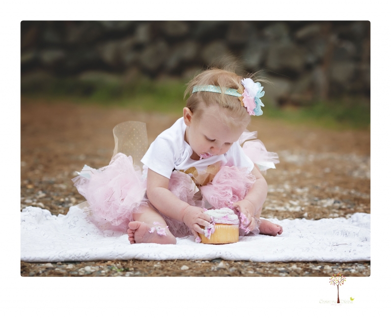 Sonora and Grass Valley family photographer Christine Dibble Photography takes first birthday cake smash photos of a baby girl and her family.  