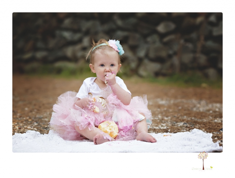 Sonora and Grass Valley family photographer Christine Dibble Photography takes first birthday cake smash photos of a baby girl and her family.  