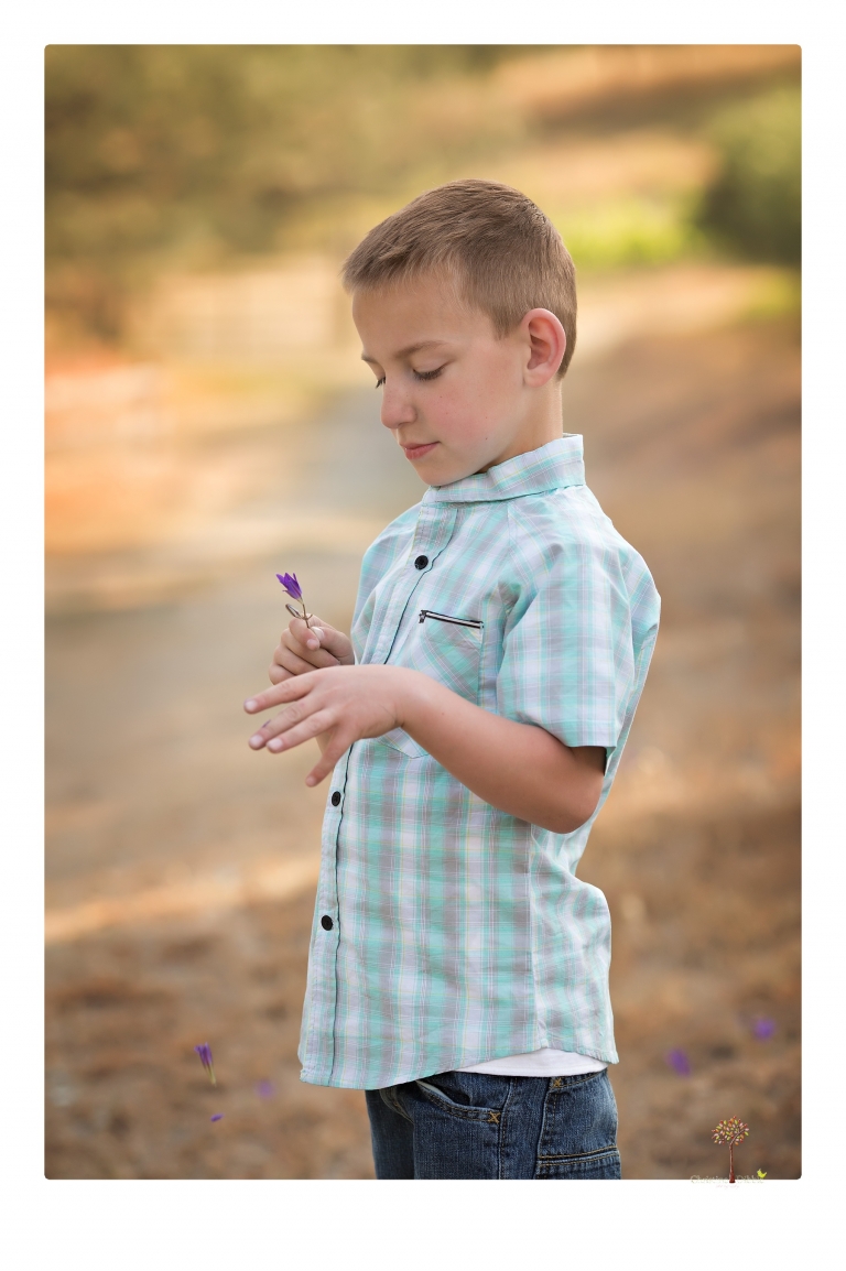 Sonora family photographer Christine Dibble Photography photographs a pregnancy announcement at Hurst Ranch as a wife tells her husband she is pregnant with baby number three during a family portrait session.