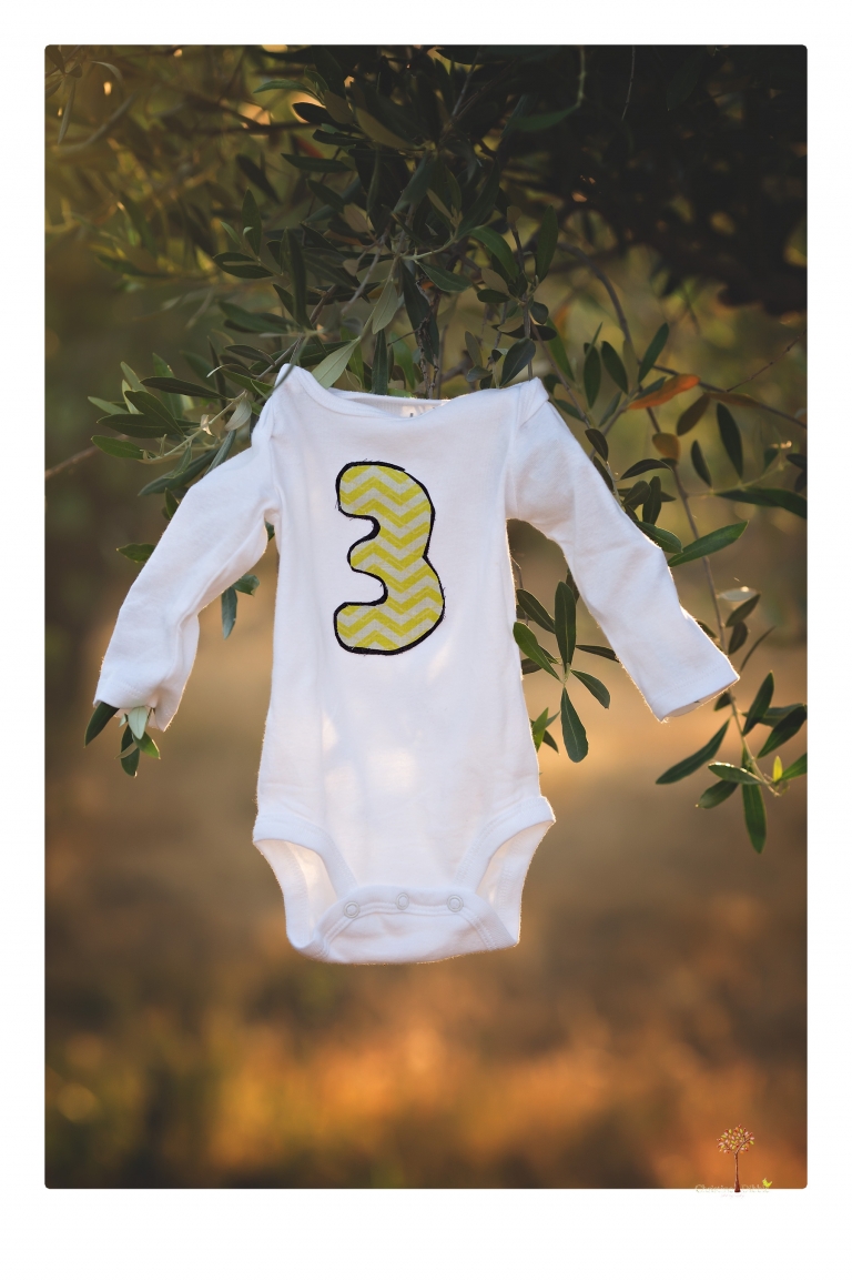 Sonora family photographer Christine Dibble Photography photographs a pregnancy announcement at Hurst Ranch as a wife tells her husband she is pregnant with baby number three during a family portrait session.