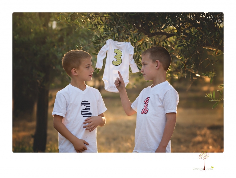 Sonora family photographer Christine Dibble Photography photographs a pregnancy announcement at Hurst Ranch as a wife tells her husband she is pregnant with baby number three during a family portrait session.