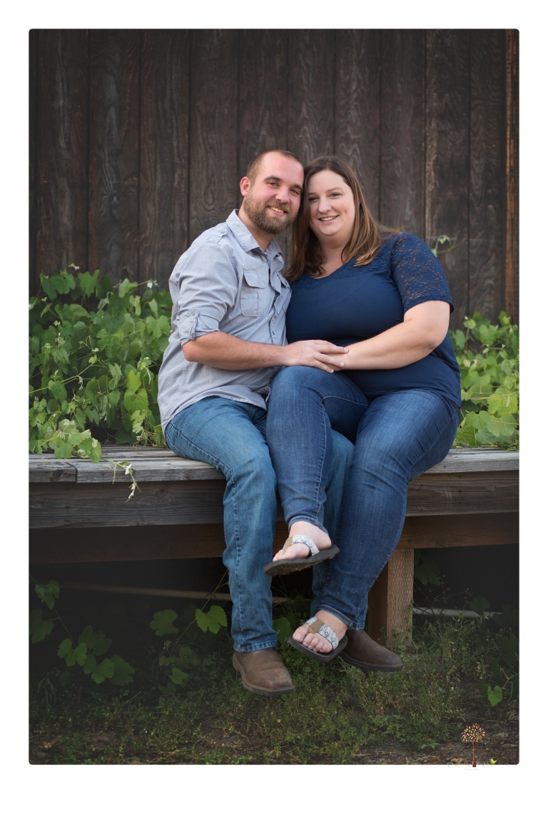 Sonora family photographer Christine Dibble Photography photographs a pregnancy announcement at Hurst Ranch as a wife tells her husband she is pregnant with baby number three during a family portrait session.