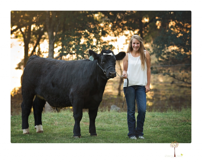 Sonora graduation photographer Christine Dibble Photography takes eighth grade graduation portraits of a girl in a pink lace dress, jeans and cowboy boots with her family, dogs, and steer, Big Mac in her family's yard.