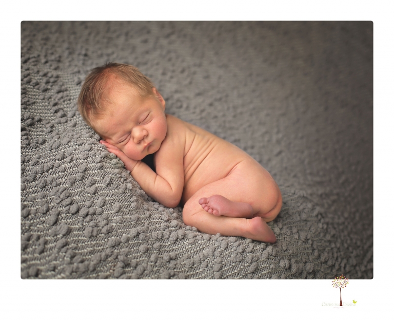 Best Sonora Newborn Photographer Christine Dibble Photography takes portraits of a newborn baby boy and his dog as well as family portraits in her Sonora studio.