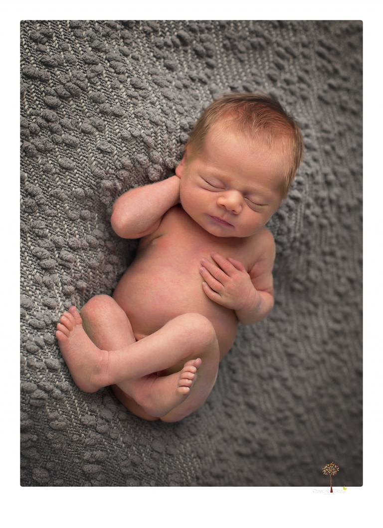 Best Sonora Newborn Photographer Christine Dibble Photography takes portraits of a newborn baby boy and his dog as well as family portraits in her Sonora studio.