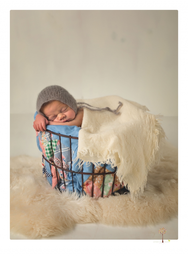 Best Sonora Newborn Photographer Christine Dibble Photography takes portraits of a newborn baby boy and his dog as well as family portraits in her Sonora studio.