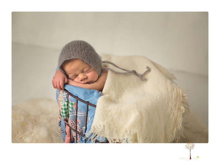 Best Sonora Newborn Photographer Christine Dibble Photography takes portraits of a newborn baby boy and his dog as well as family portraits in her Sonora studio.