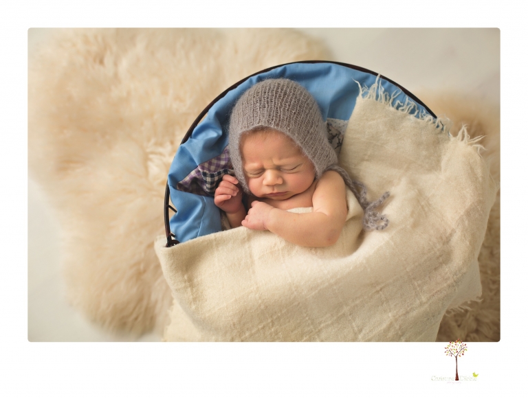 Best Sonora Newborn Photographer Christine Dibble Photography takes portraits of a newborn baby boy and his dog as well as family portraits in her Sonora studio.