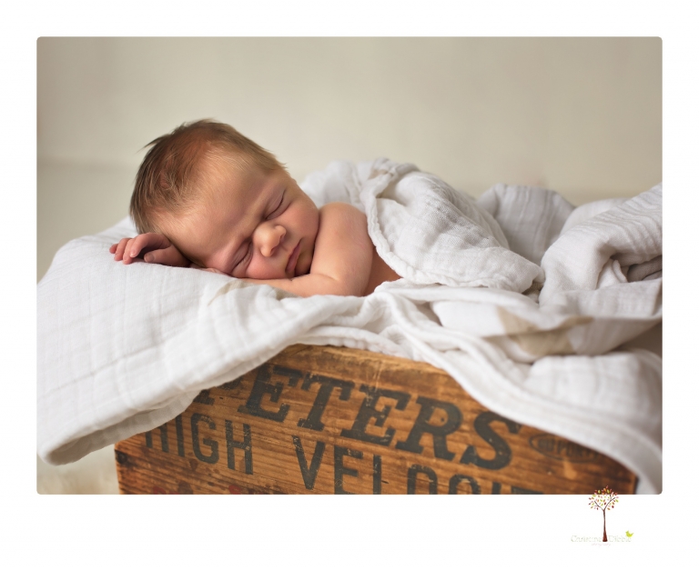 Best Sonora Newborn Photographer Christine Dibble Photography takes portraits of a newborn baby boy and his dog as well as family portraits in her Sonora studio.