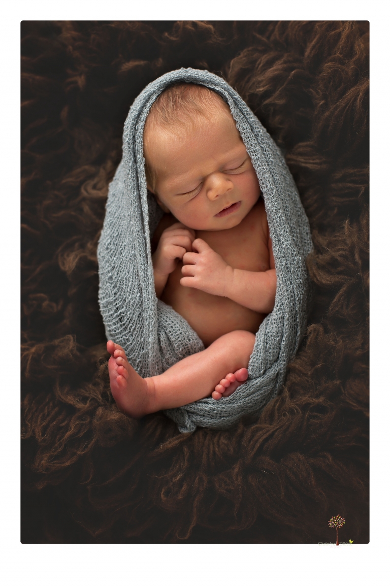 Best Sonora Newborn Photographer Christine Dibble Photography takes portraits of a newborn baby boy and his dog as well as family portraits in her Sonora studio.