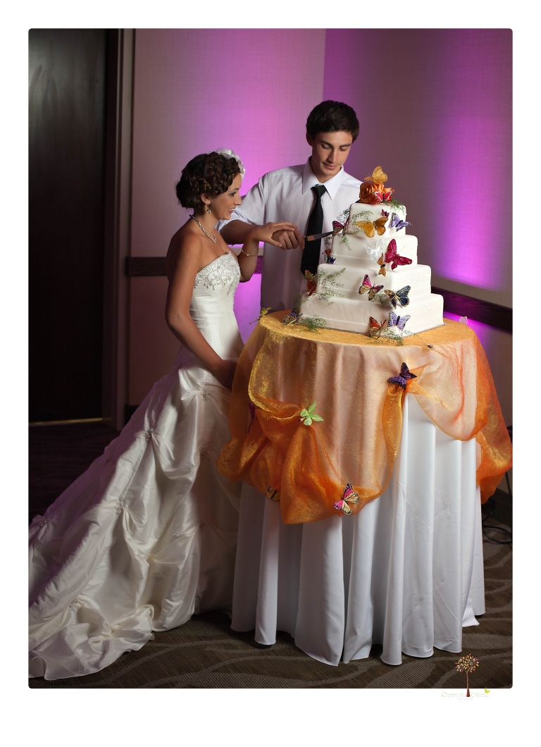 Sonora Wedding Photographer Christine Dibble Photography takes photos of the bride and groom cutting the cake at a Black Oak Casino Resort Hotel wedding.