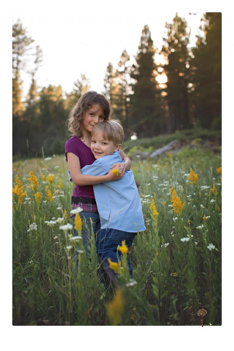 Sonora maternity photographer Christine Dibble Photography takes family maternity portraits of a mom expecting twins  in a wildflower field near Long Barn.