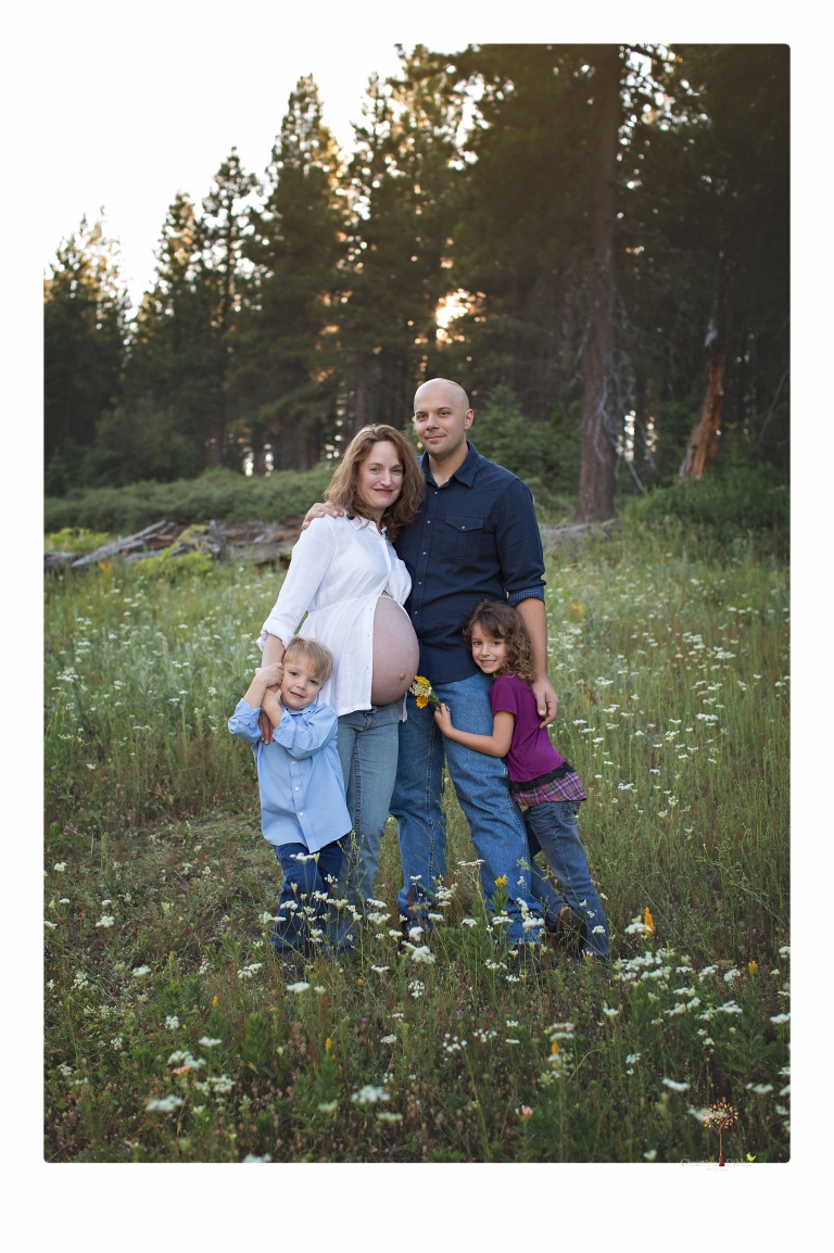 Sonora maternity photographer Christine Dibble Photography takes family maternity portraits of a mom expecting twins  in a wildflower field near Long Barn.