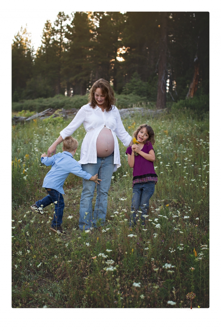 Sonora maternity photographer Christine Dibble Photography takes family maternity portraits of a mom expecting twins  in a wildflower field near Long Barn.