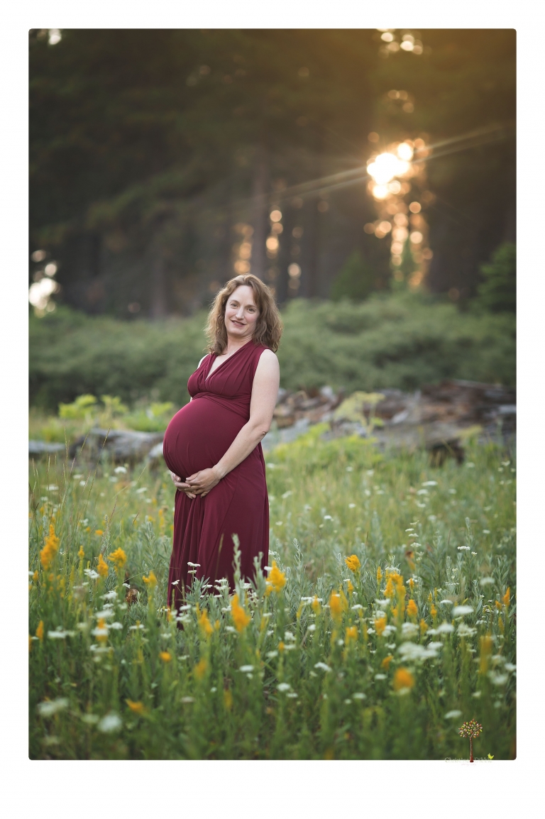 Sonora maternity photographer Christine Dibble Photography takes family maternity portraits of a mom expecting twins  in a wildflower field near Long Barn.