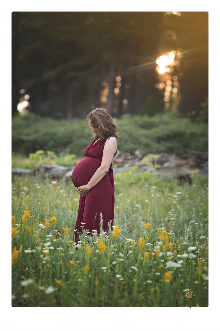 Sonora maternity photographer Christine Dibble Photography takes family maternity portraits of a mom expecting twins  in a wildflower field near Long Barn.