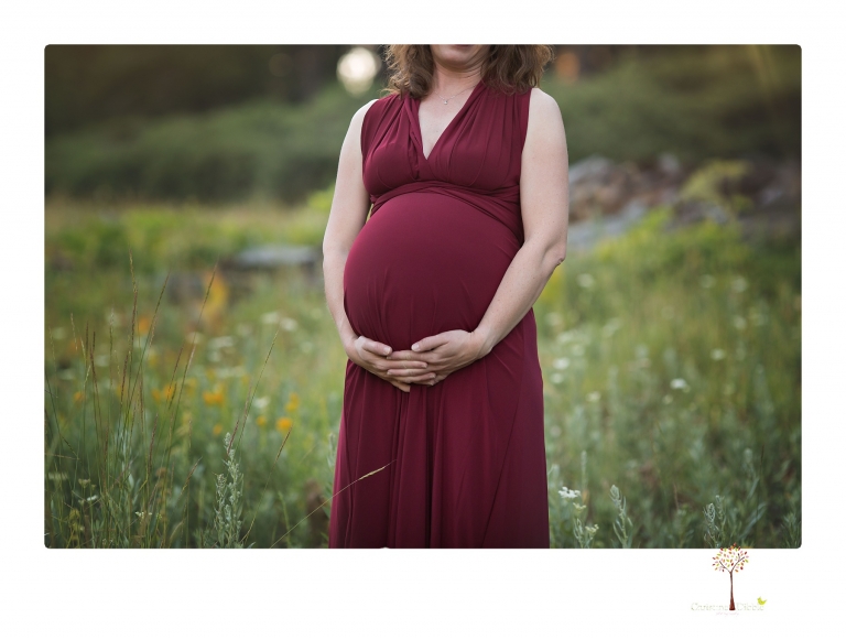 Sonora maternity photographer Christine Dibble Photography takes family maternity portraits of a mom expecting twins  in a wildflower field near Long Barn.