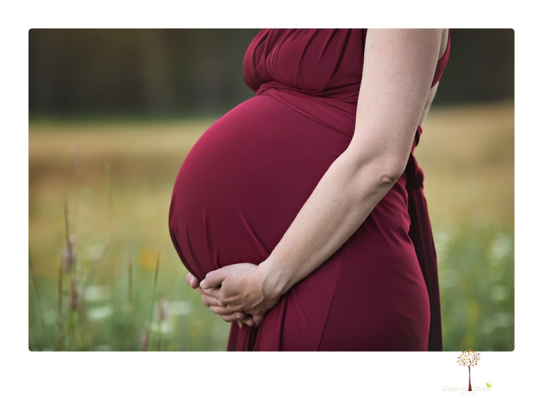 Sonora maternity photographer Christine Dibble Photography takes family maternity portraits of a mom expecting twins  in a wildflower field near Long Barn.