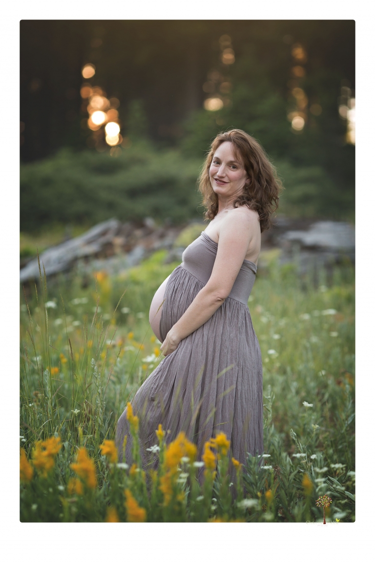 Sonora maternity photographer Christine Dibble Photography takes family maternity portraits of a mom expecting twins  in a wildflower field near Long Barn.