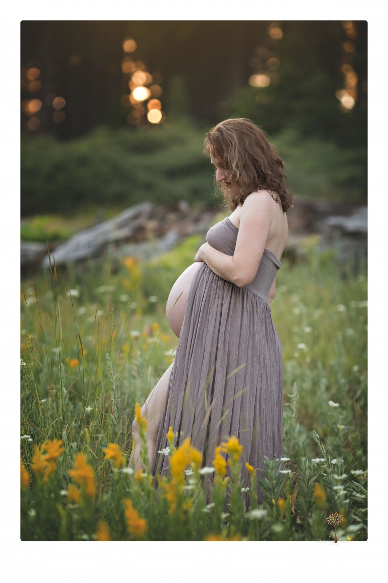 Sonora maternity photographer Christine Dibble Photography takes family maternity portraits of a mom expecting twins  in a wildflower field near Long Barn.