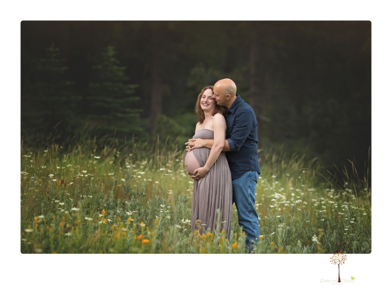 Sonora maternity photographer Christine Dibble Photography takes family maternity portraits of a mom expecting twins  in a wildflower field near Long Barn.