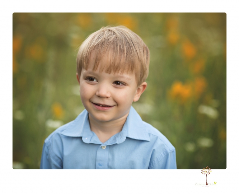 Sonora maternity photographer Christine Dibble Photography takes family maternity portraits of a mom expecting twins  in a wildflower field near Long Barn.