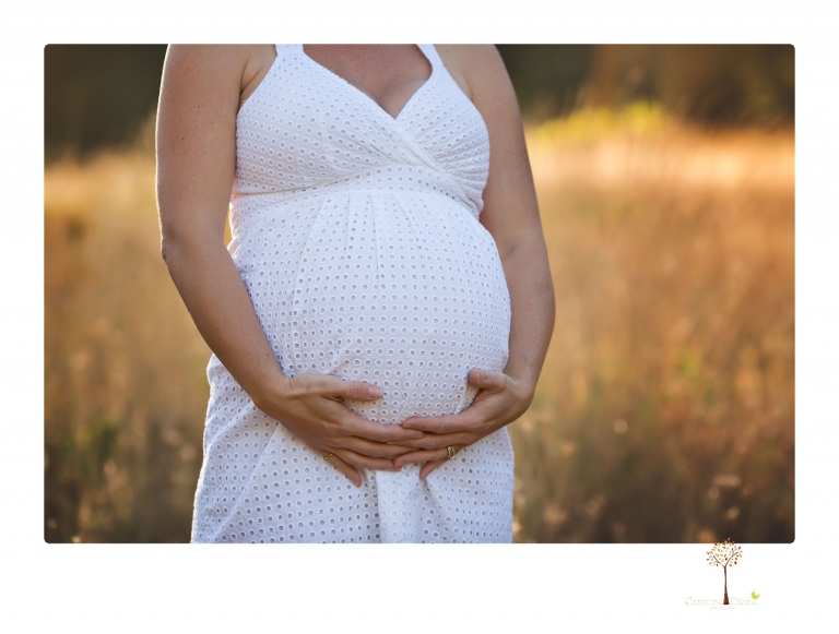 Sonora pregnancy photographer Christine Dibble Photography takes maternity portraits in golden sunlight outdoors of women wearing maternity dresses and tulle wraps.