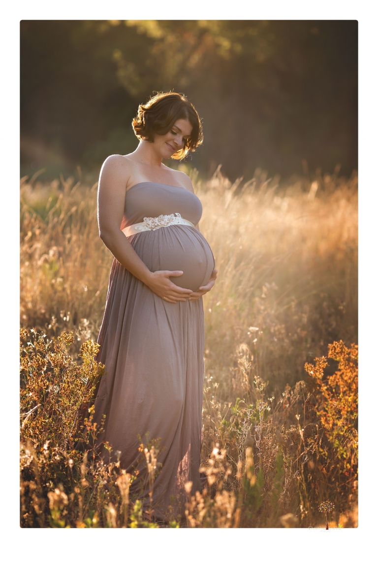 Sonora pregnancy photographer Christine Dibble Photography takes maternity portraits in golden sunlight outdoors of women wearing maternity dresses and tulle wraps.