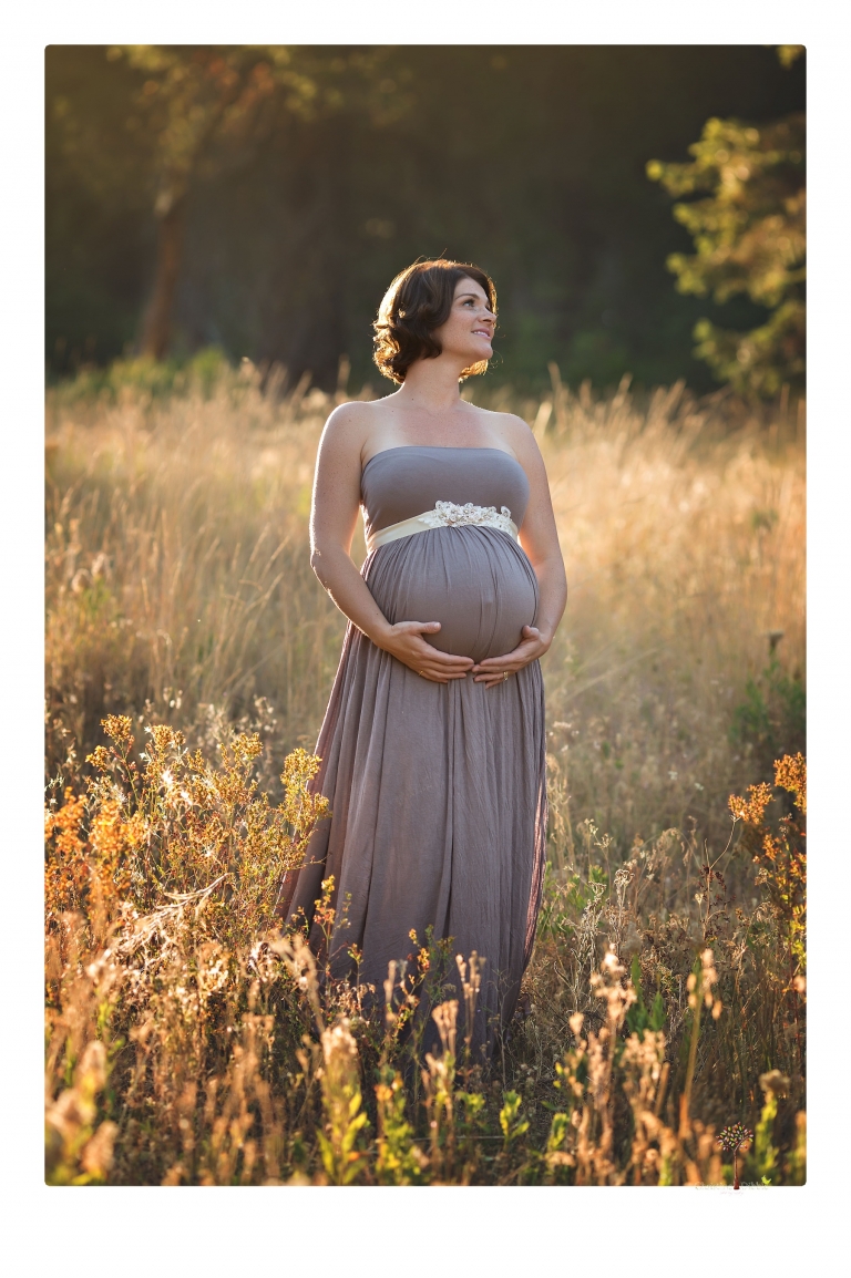 Sonora pregnancy photographer Christine Dibble Photography takes maternity portraits in golden sunlight outdoors of women wearing maternity dresses and tulle wraps.
