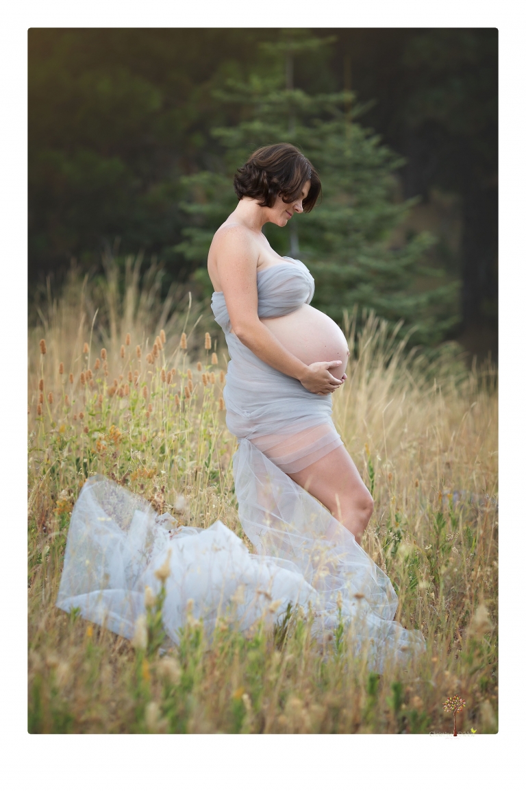 Sonora pregnancy photographer Christine Dibble Photography takes maternity portraits in golden sunlight outdoors of women wearing maternity dresses and tulle wraps.