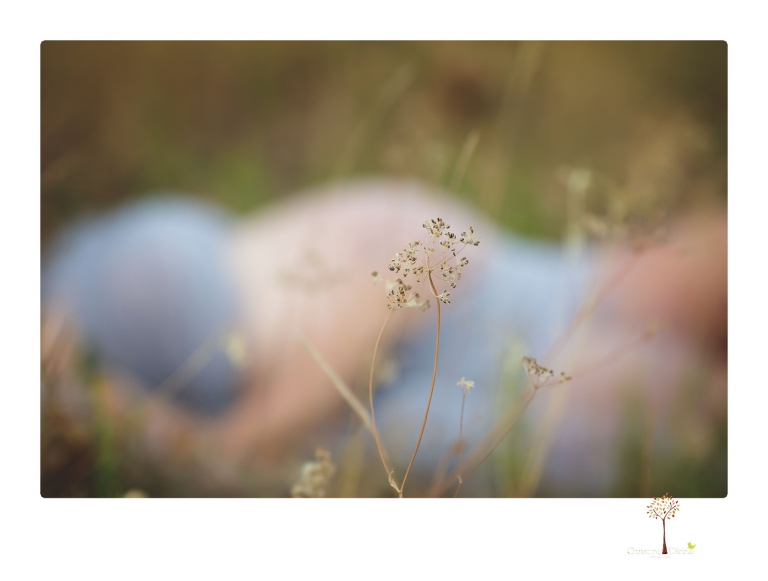 Sonora pregnancy photographer Christine Dibble Photography takes maternity portraits in golden sunlight outdoors of women wearing maternity dresses and tulle wraps.