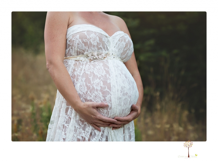 Sonora pregnancy photographer Christine Dibble Photography takes maternity portraits in golden sunlight outdoors of women wearing maternity dresses and tulle wraps.