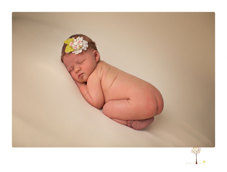 Best Sonora newborn photographer Christine Dibble Photography takes studio newborn portraits of a baby girl at eight days old with headbands, flowers and pink touches in the props.