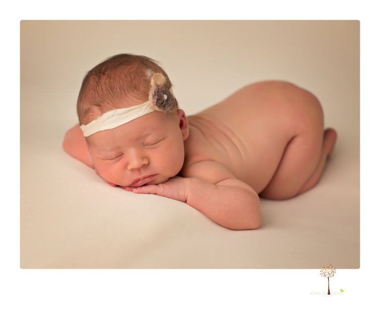 Best Sonora newborn photographer Christine Dibble Photography takes studio newborn portraits of a baby girl at eight days old with headbands, flowers and pink touches in the props.