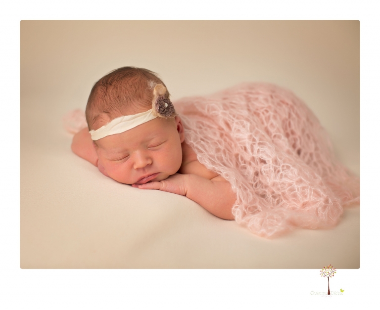 Best Sonora newborn photographer Christine Dibble Photography takes studio newborn portraits of a baby girl at eight days old with headbands, flowers and pink touches in the props.