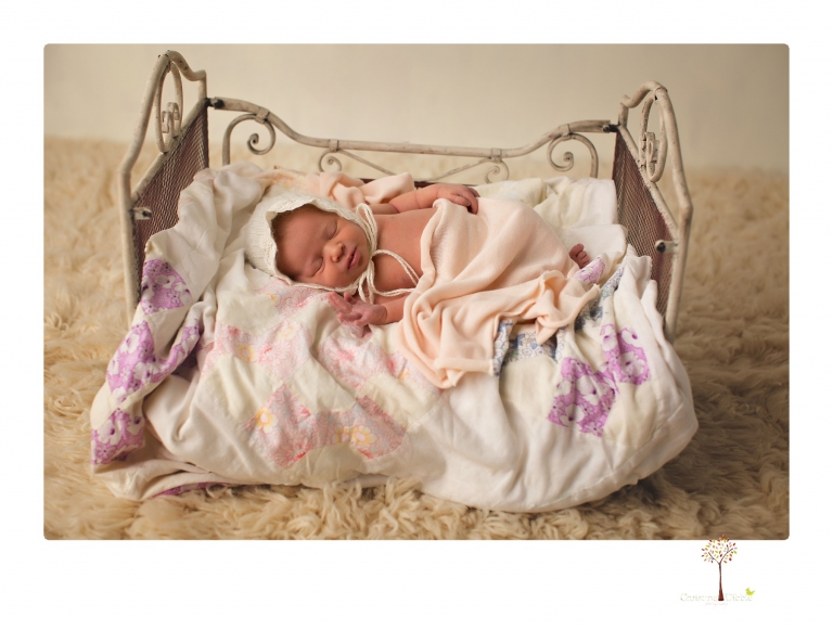 Best Sonora newborn photographer Christine Dibble Photography takes studio newborn portraits of a baby girl at eight days old with headbands, flowers and pink touches in the props.