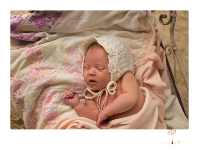 Best Sonora newborn photographer Christine Dibble Photography takes studio newborn portraits of a baby girl at eight days old with headbands, flowers and pink touches in the props.